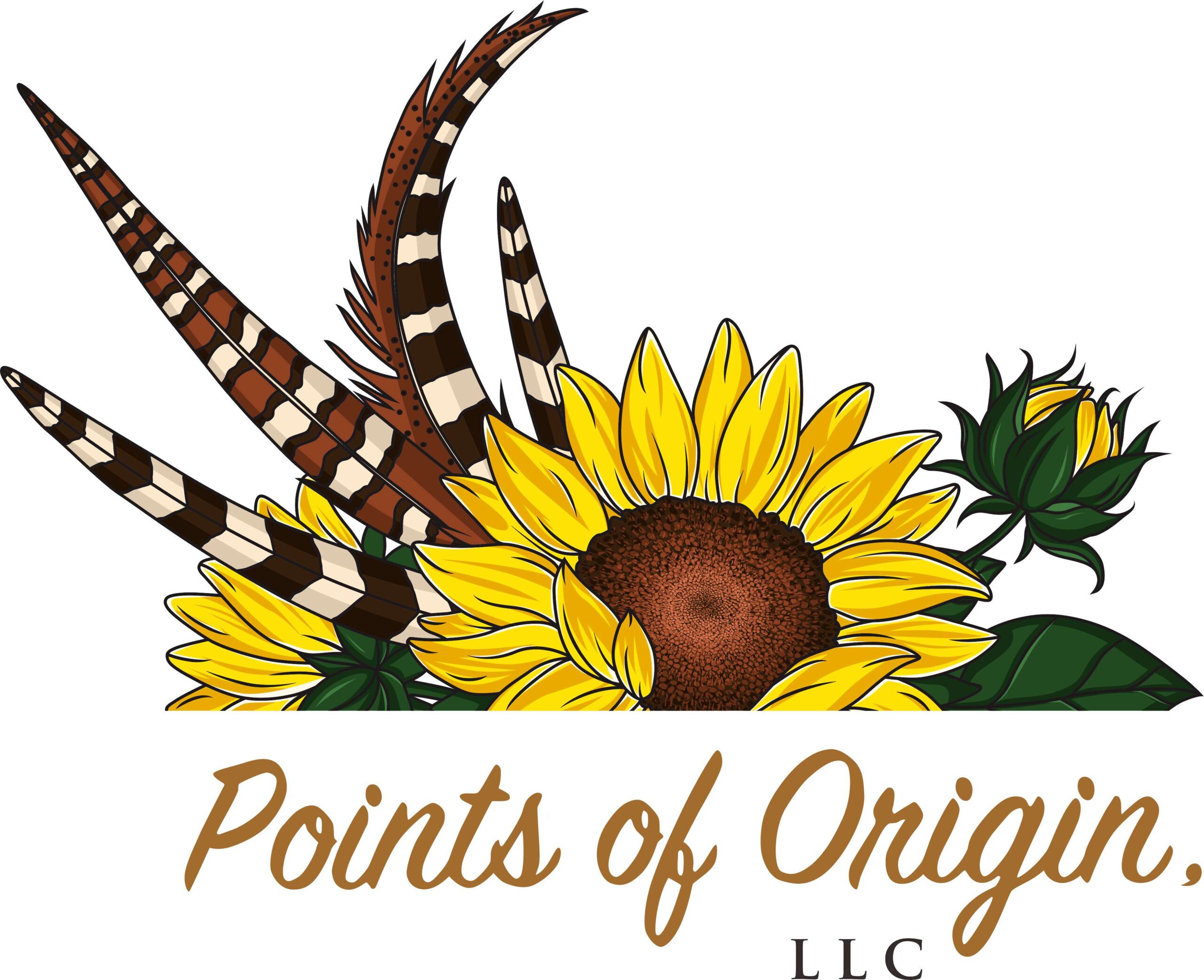 Origin Point Treatment Soma Flow - Points of Origin: Counseling Support & Education Center